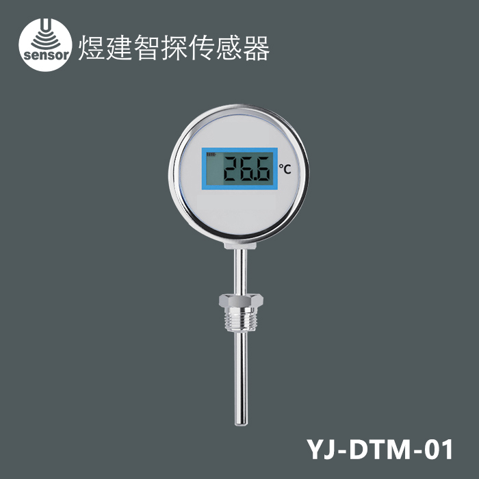 PT100常规智能现场数显温度表