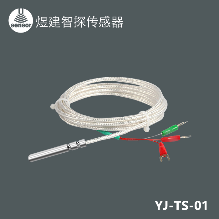 探头式温度传感器