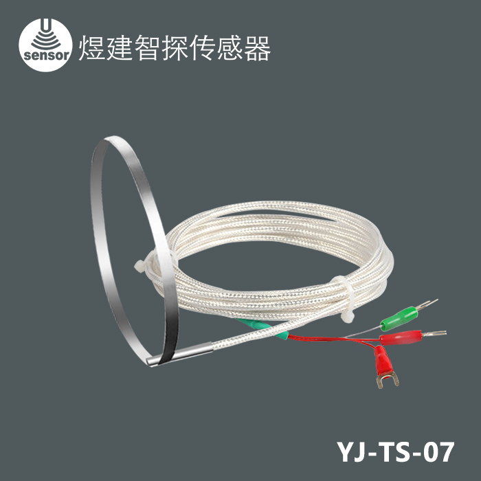 卡箍式温度传感器